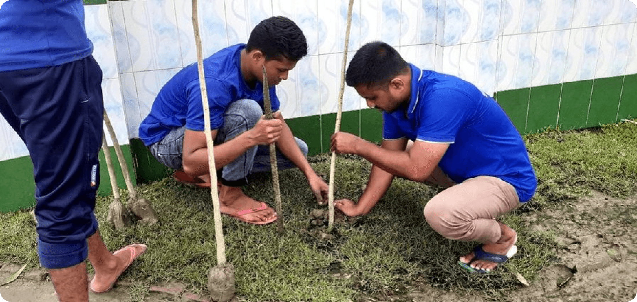 Tree planting activity